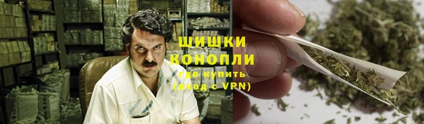 спиды Богородицк