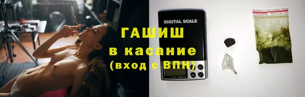 спиды Богородицк