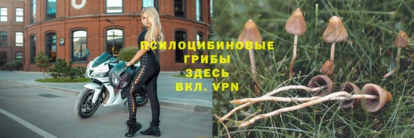 спиды Богородицк
