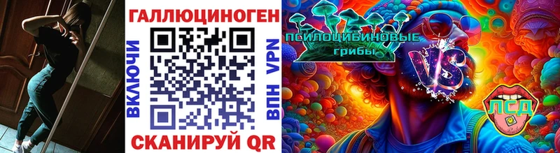 Псилоцибиновые грибы Psilocybe  Абакан 